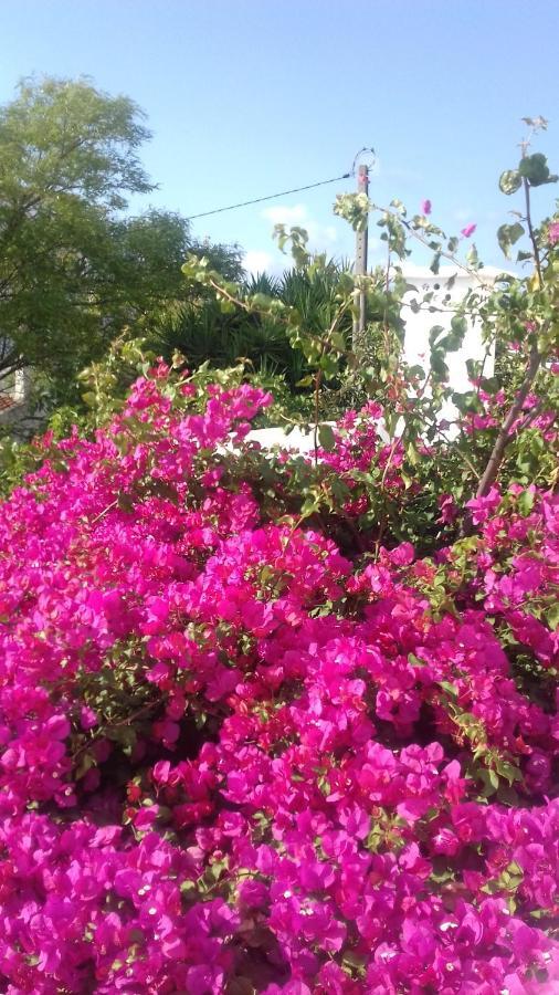 Bed and Breakfast Pensao Algarve São Brás de Alportel Esterno foto